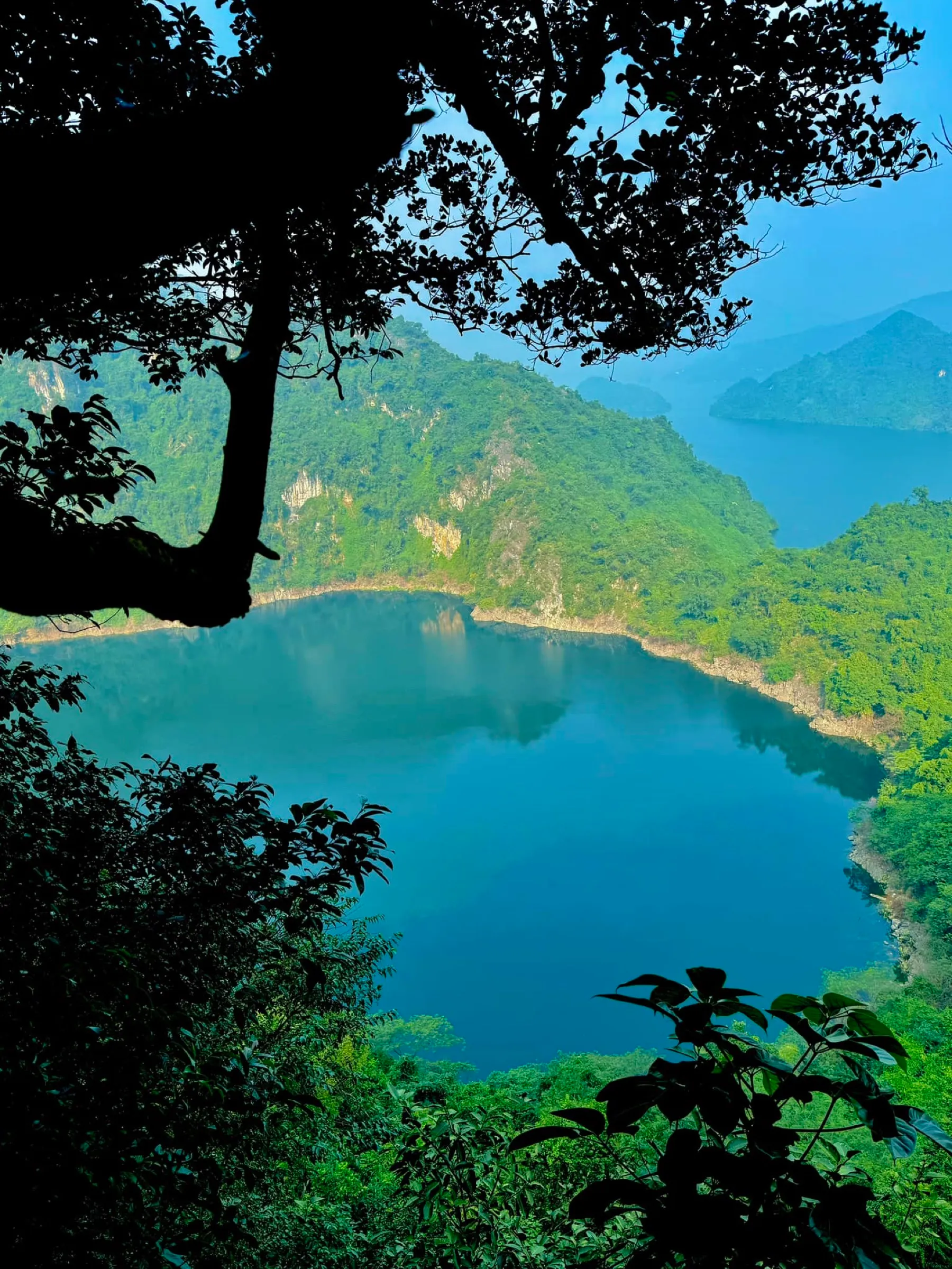 The jade-green Dragon Eye Lake seen from a forest viewpoint above.